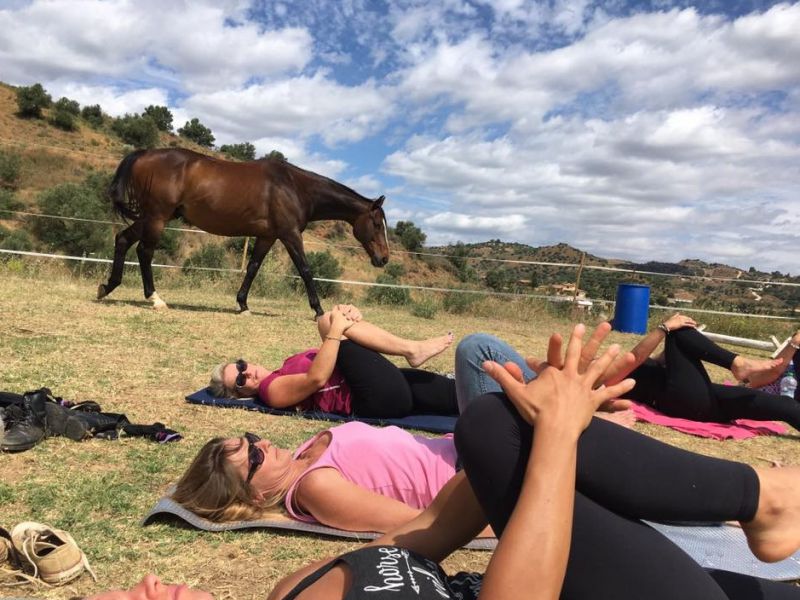 jóga pro jezdce v Andaluzii - yoga for Andalusian riders